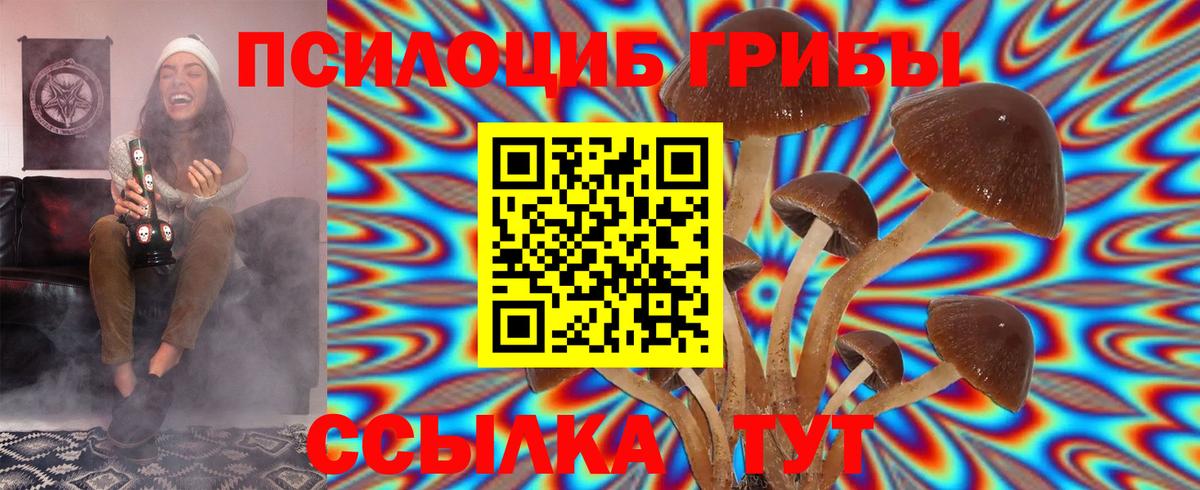 Галлюциногенные грибы Psilocybe Реутов